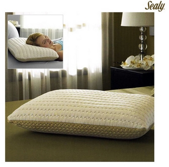 sealy-pillow