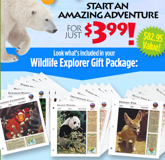 wildlife explorer package