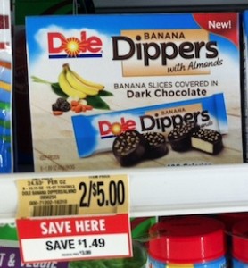 dippers-publix