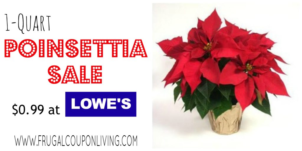 LOWES-black-friday-poinsettia-sale