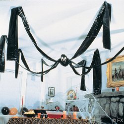 giant hanging spider