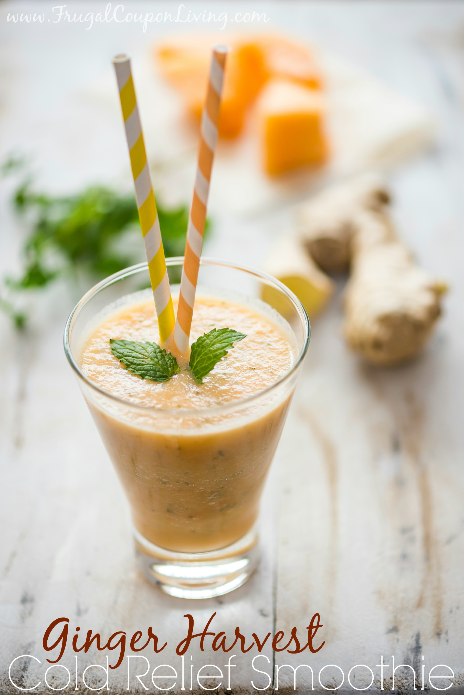 ginger-harvest-cold-relief-smoothie-juice-plus-frugal-coupon-living