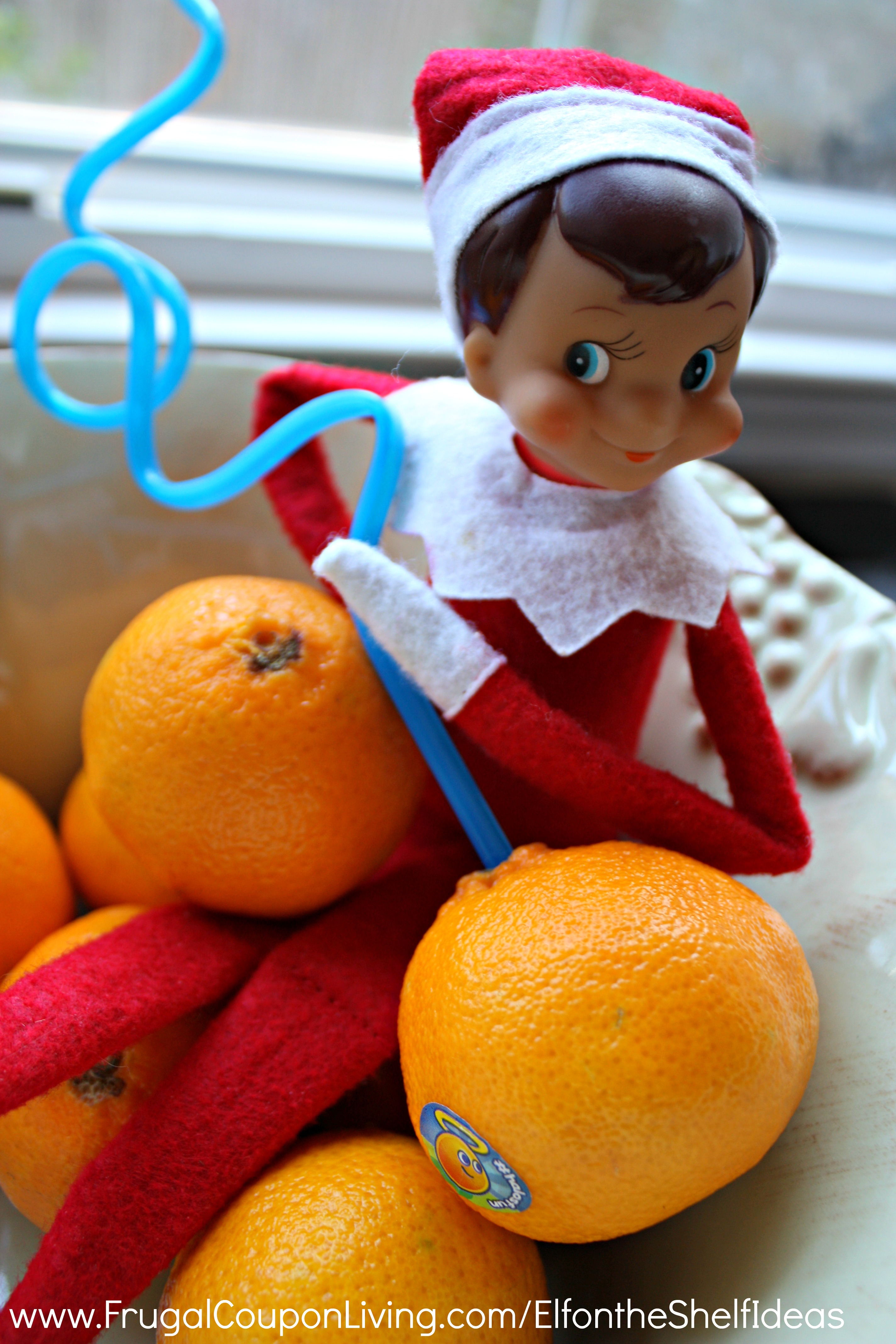 Elf on the Shelf Ideas - Elf Drinks from an Orange