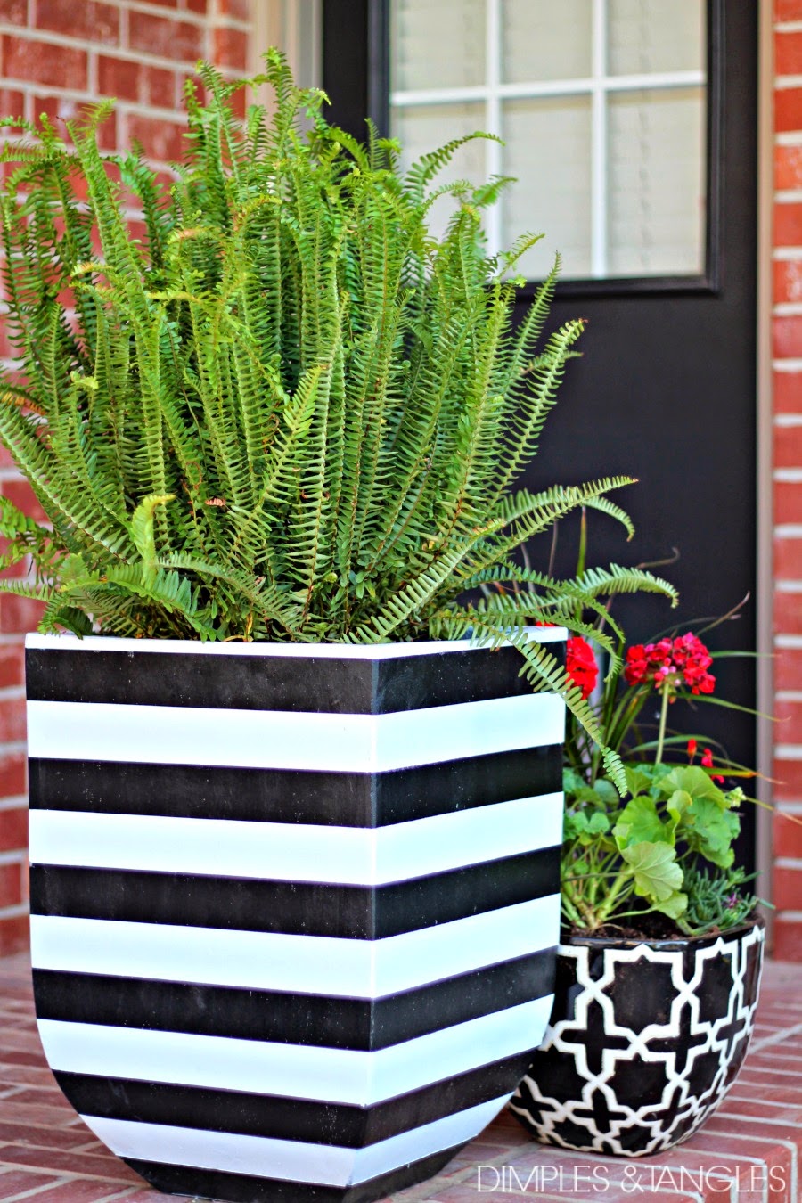 black-white-planters