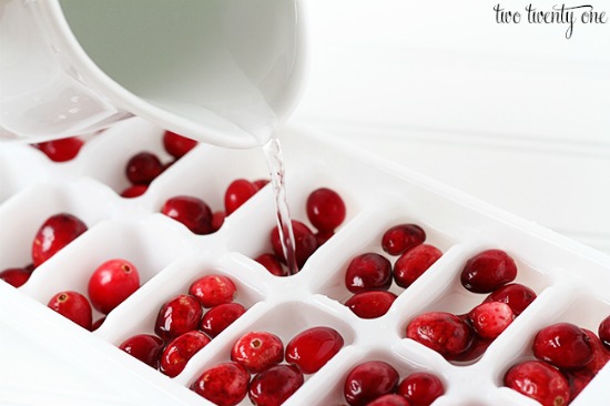 cranberry-ice-smaller