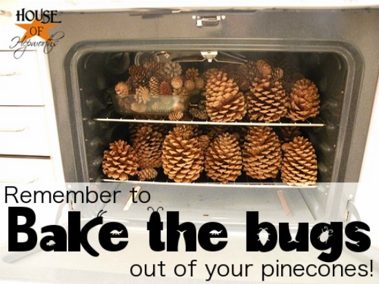 debug-pinecones-smaller