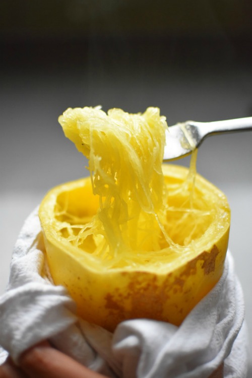 spaghetti-squash-500