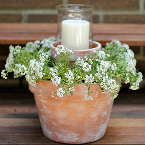 flower-pot-centerpiece-container-gardening-crafts-gardening