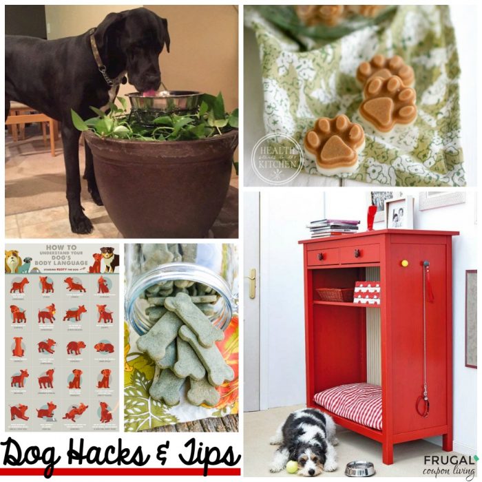 Dog-hacks-tips-frugal-coupon-living-collage-fb