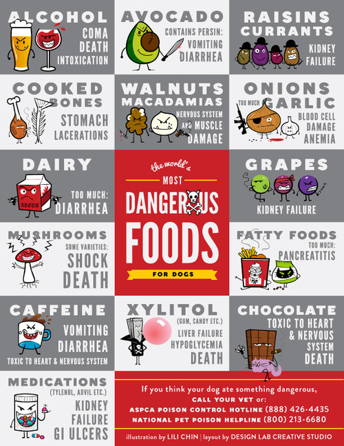 dog-chart-dangerous-foods