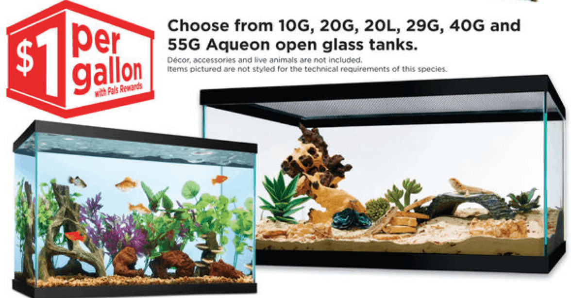 Dollar a gallon sale best sale petco 2018