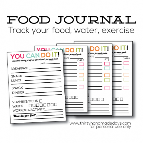 daily-food-journal