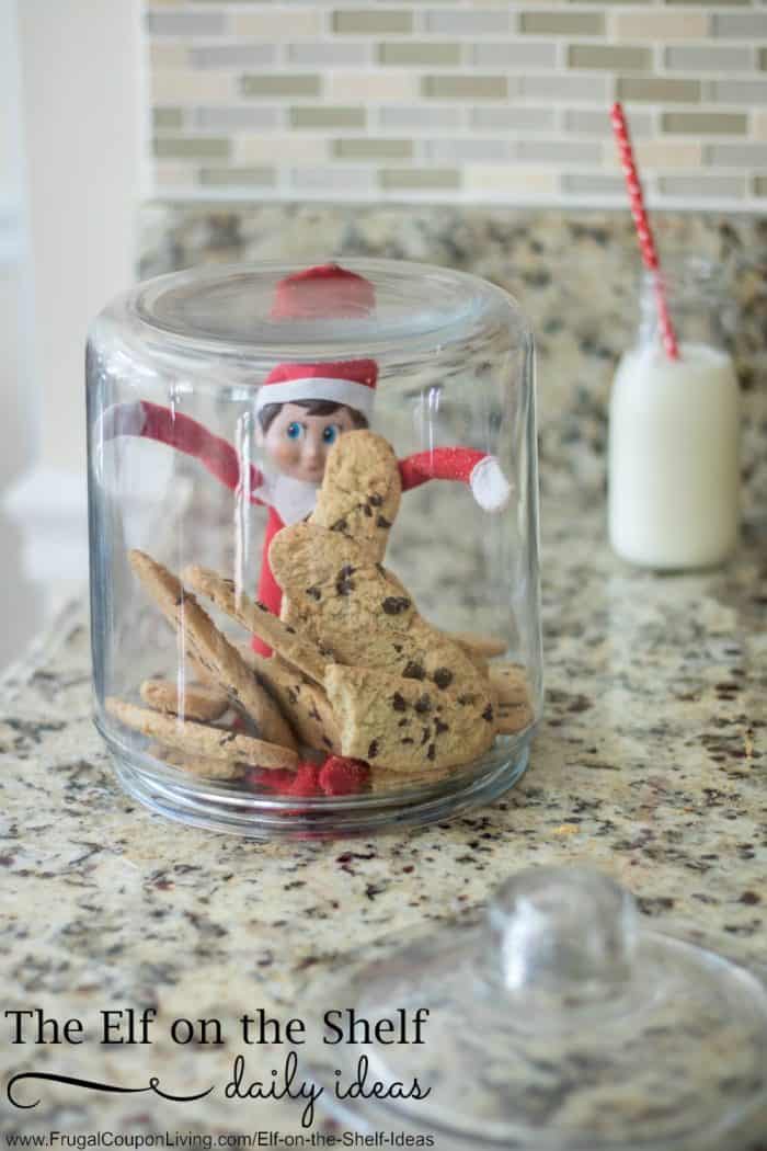 Elf on the Shelf Ideas | Elf in the Cookie Jar