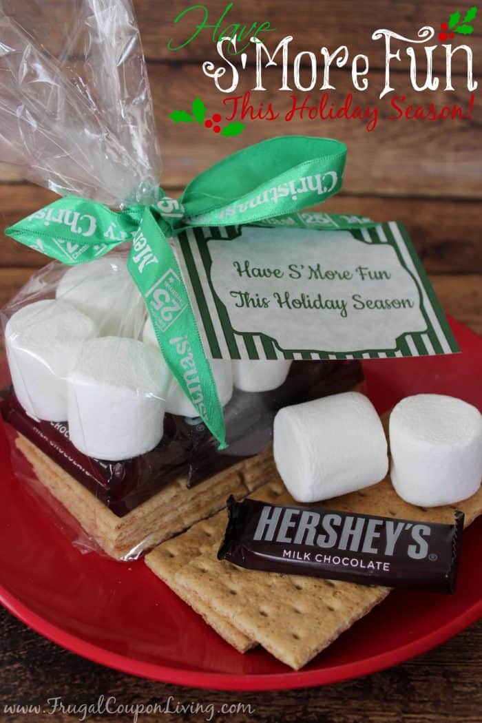 smores-fun-gift-frugal-coupon-living