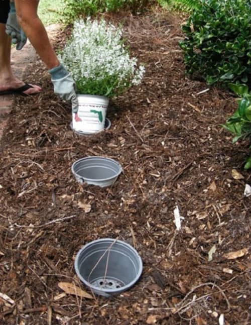 Gardening Hack and Tip for changing flower pots