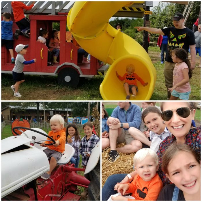 Cox Farms Fall Festival