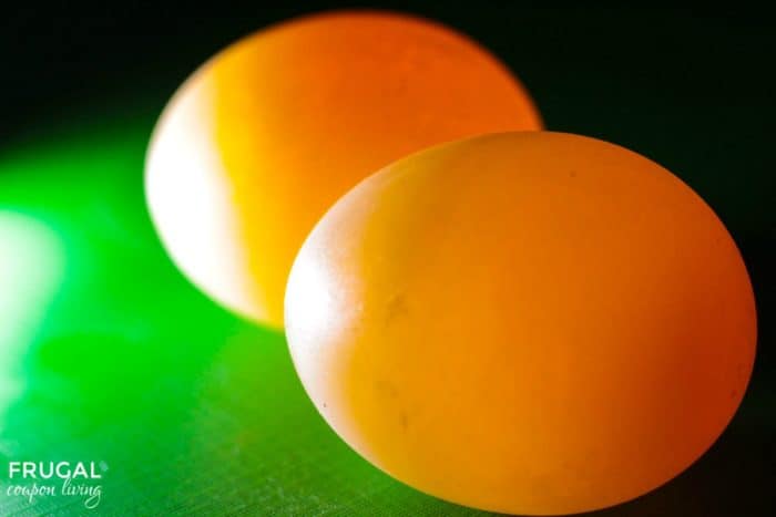 Glow in the Dark Eggs Science