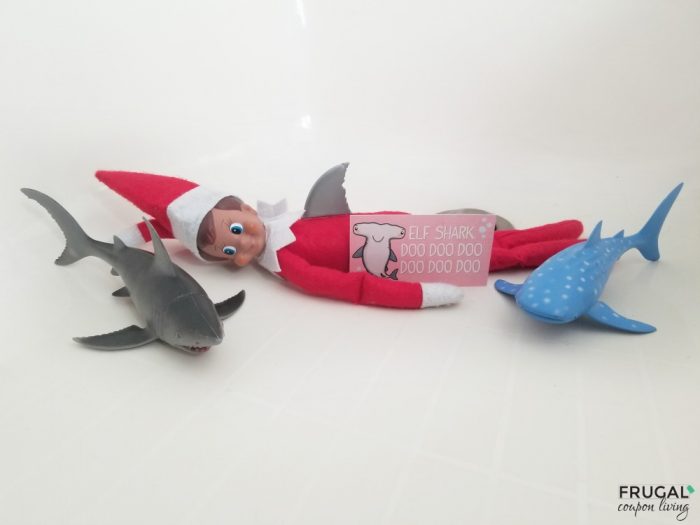 Elf on the Shelf Shark Idea