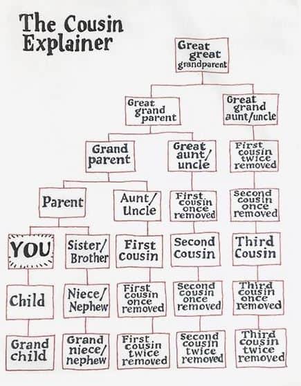 The Cousin Explainer Chart