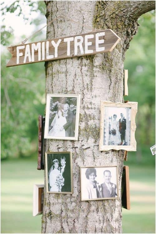 Family Tree Idea