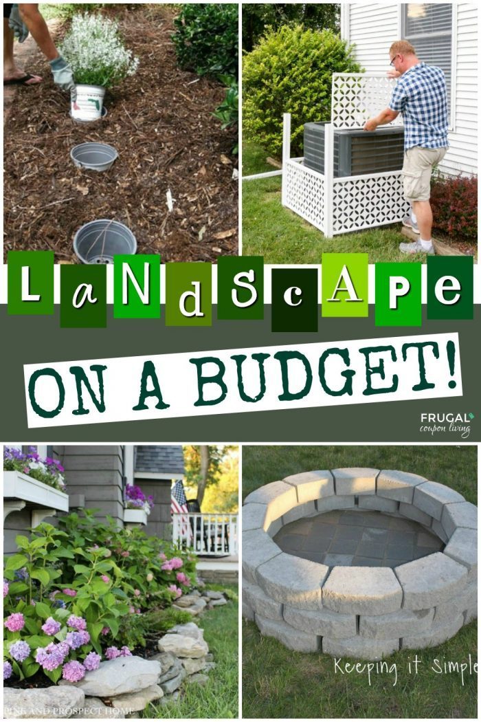 DIY Backyard Landscape Hacks and Tips on a Budget