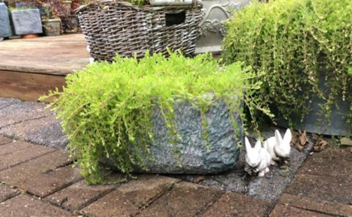 Styrofoam cooler into a DIY Planter