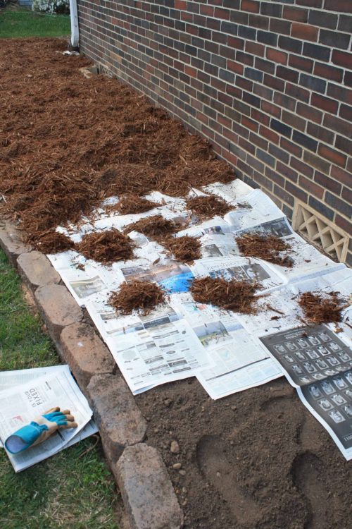 Flower Bed Hack for Weeds