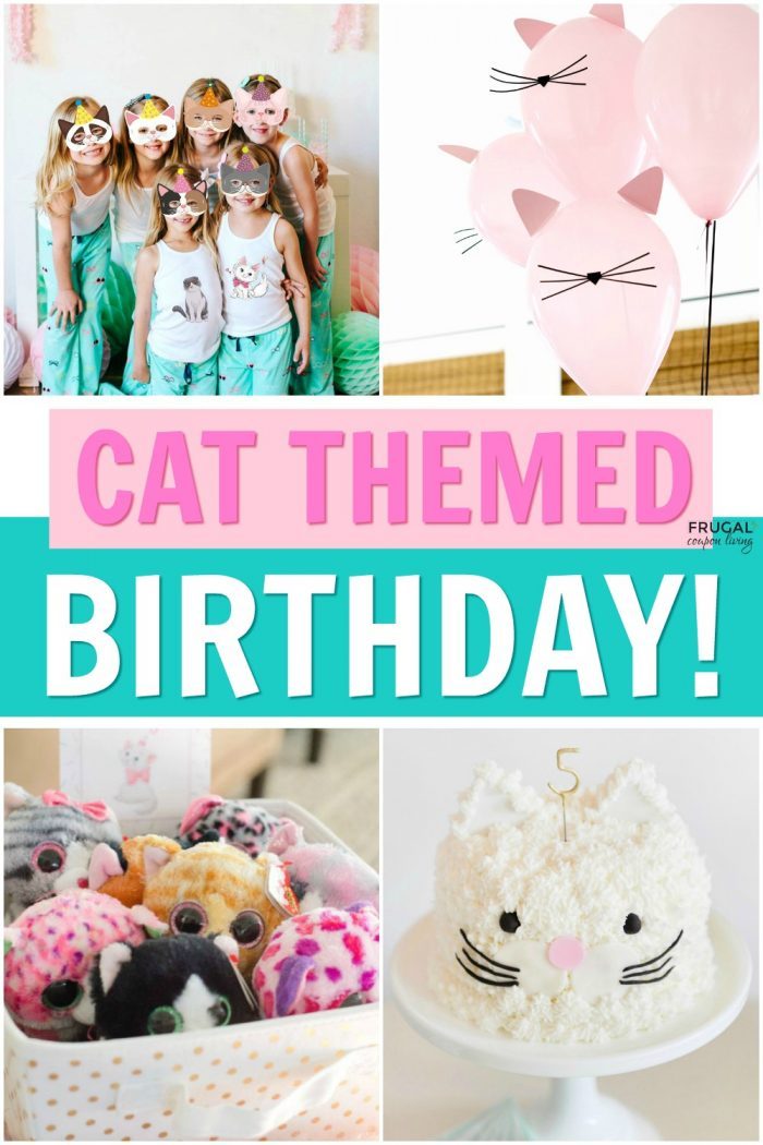 Cat Themed Birthday Parties for Kids