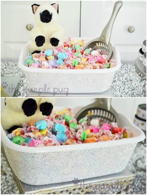 Cat Party Ideas | Kitty Litter Bucket with Candy