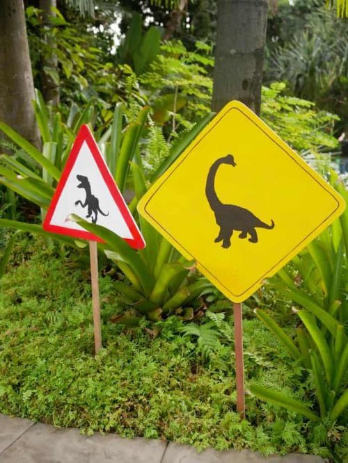 Dinosaur Crossing Party Signs & Party Decor