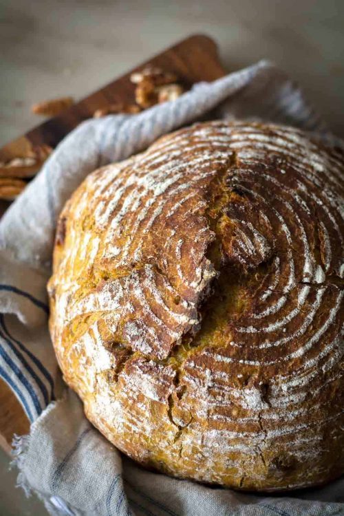 No Knead Pumpkin Bread Recipe for Fall