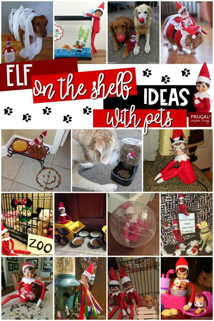 Elf on the Shelf Ideas with Pets