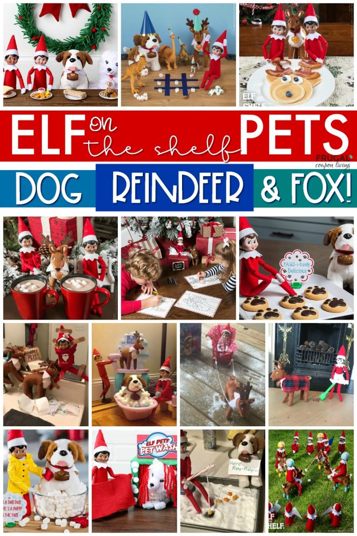 Elf on the Shelf with Elf Pets Ideas