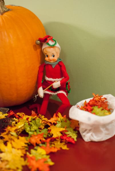 Elf Rakes Fall Leaves | Elf on the Shelf Ideas for Thanksgiving