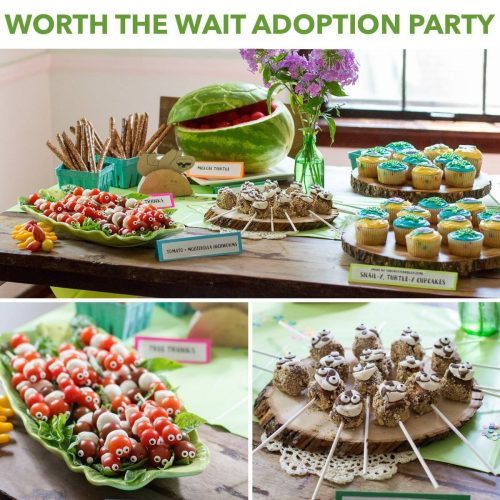 Worth the Wait Adoption Party Theme