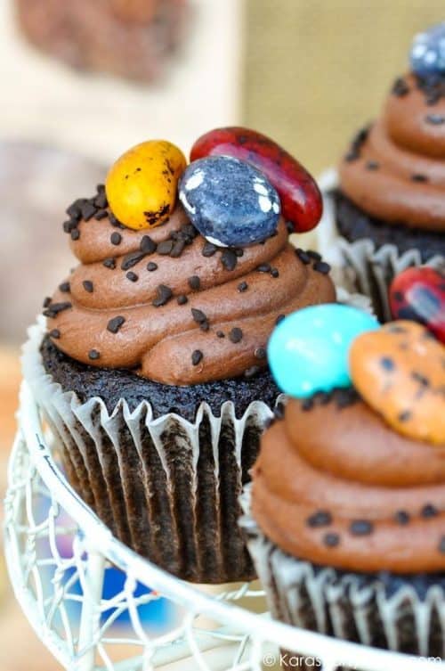 Candy Rock Chocolate Cupcakes | Rockin' Geology Rock Party