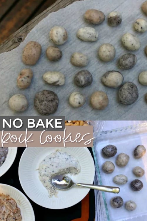 No Bake Rock Cookies + Rockin' Rock Party Ideas