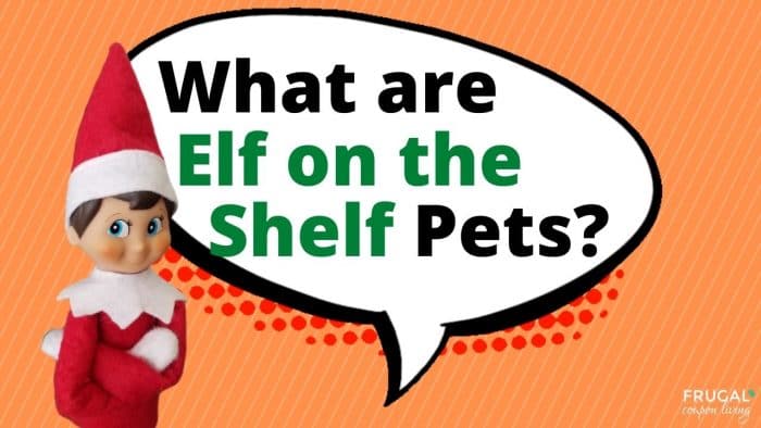 Elf Questions - What are Elf on the Shelf Pets?