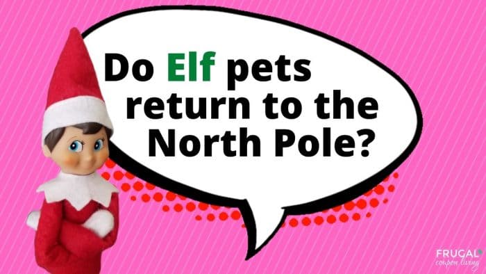 Elf Questions - Do Elf pets return to the North Pole?