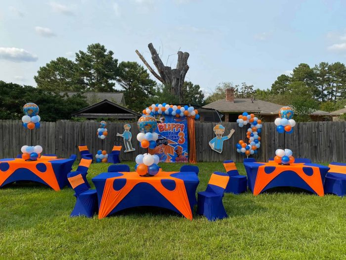 Blippi at home party