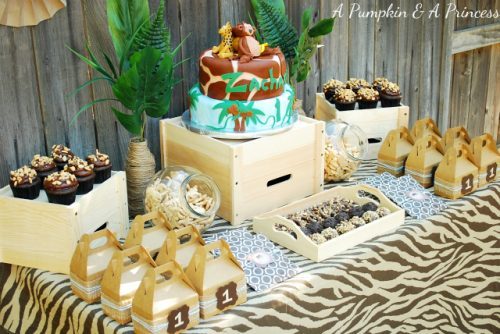 Safari Party Decor and Display