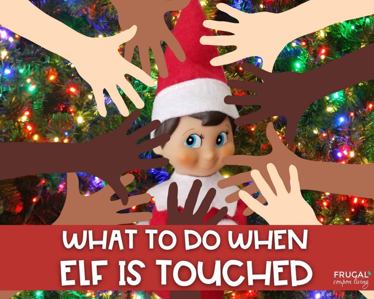 what do you do when elf is touched