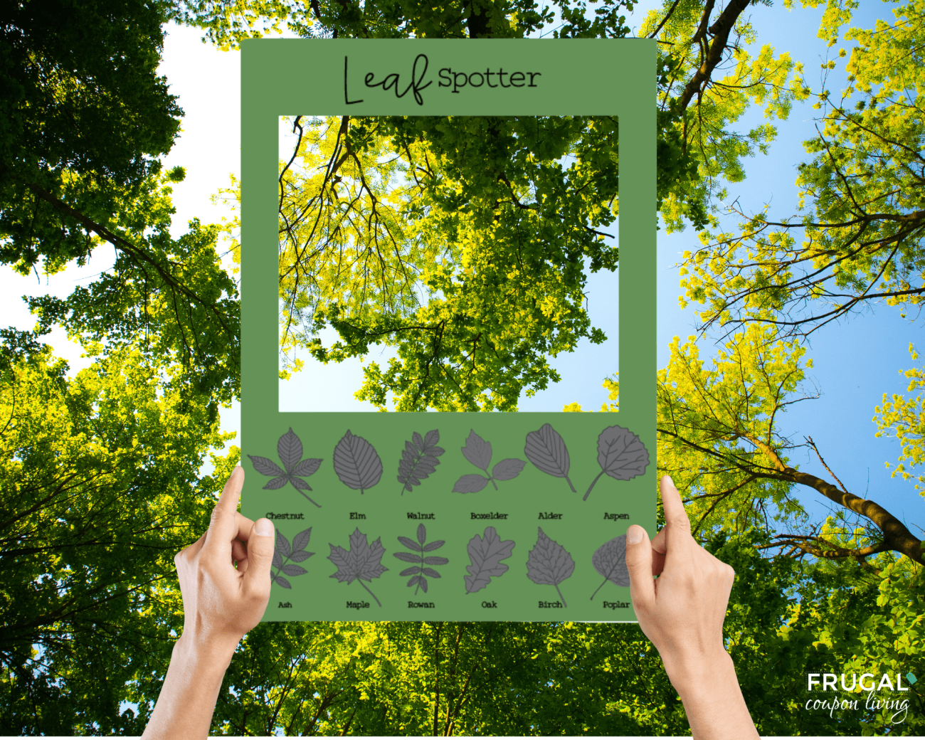 leaf viewer printable nature scavenger hunt