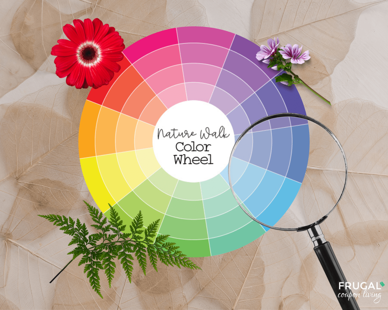 Printable Color Wheel for Nature Walk Scavenger Hunt